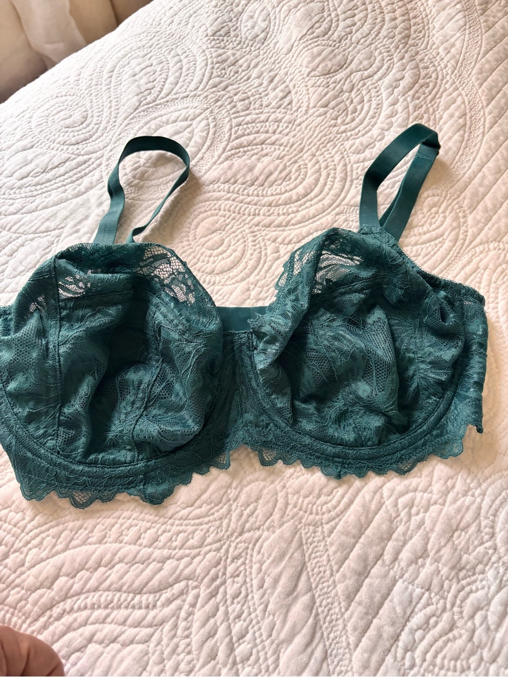 New Lace Underwire Bra in Teal Green 34F